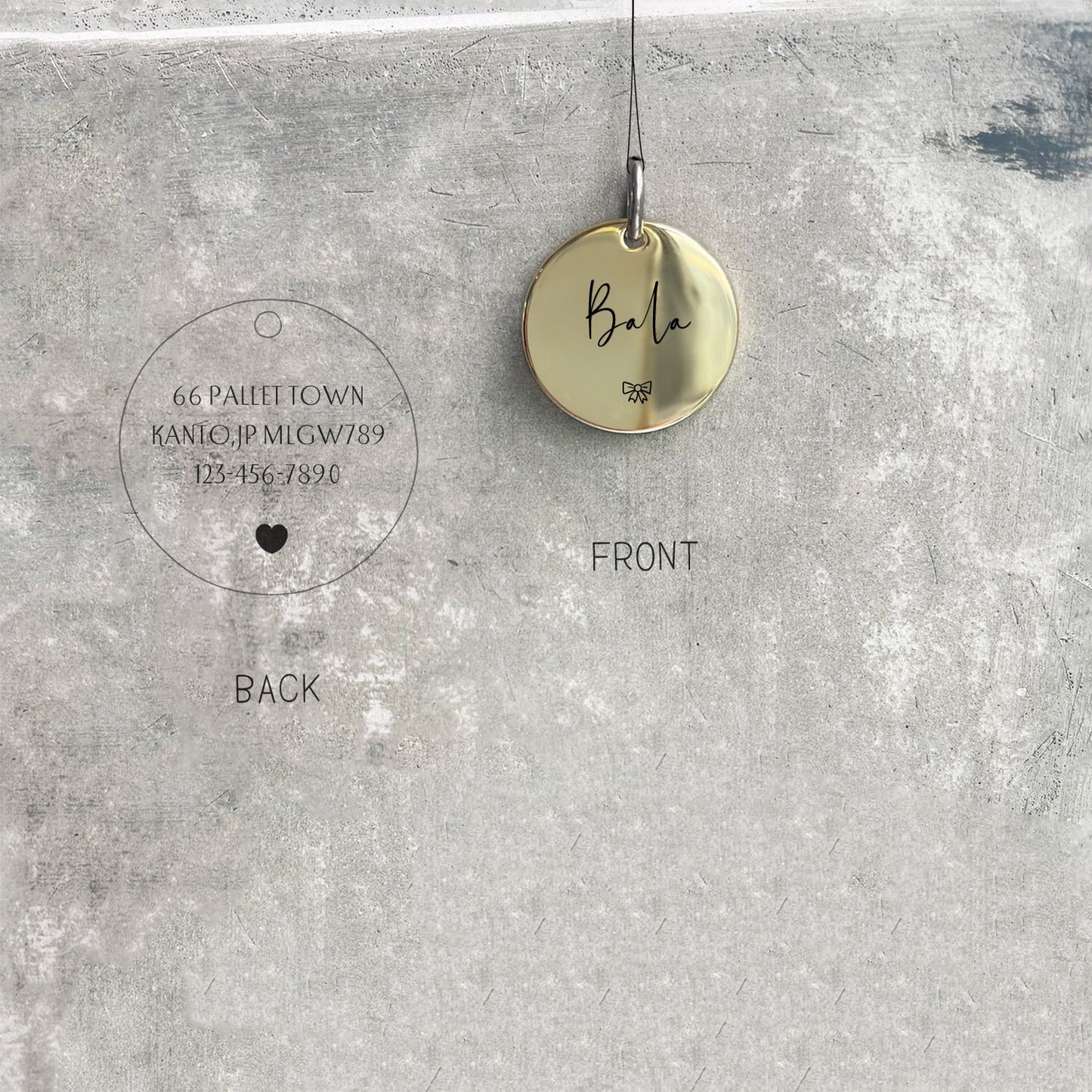 Shiny Brass 14K Gold Surface Dog Tag