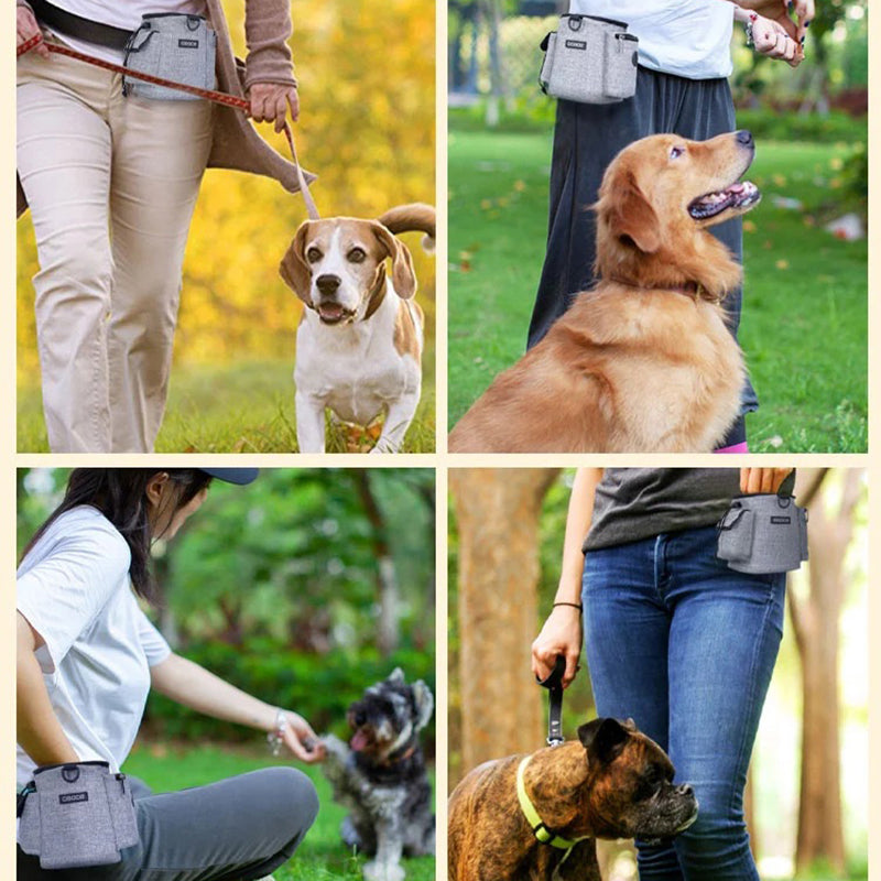 2 In 1 Dog Training Treat Bag