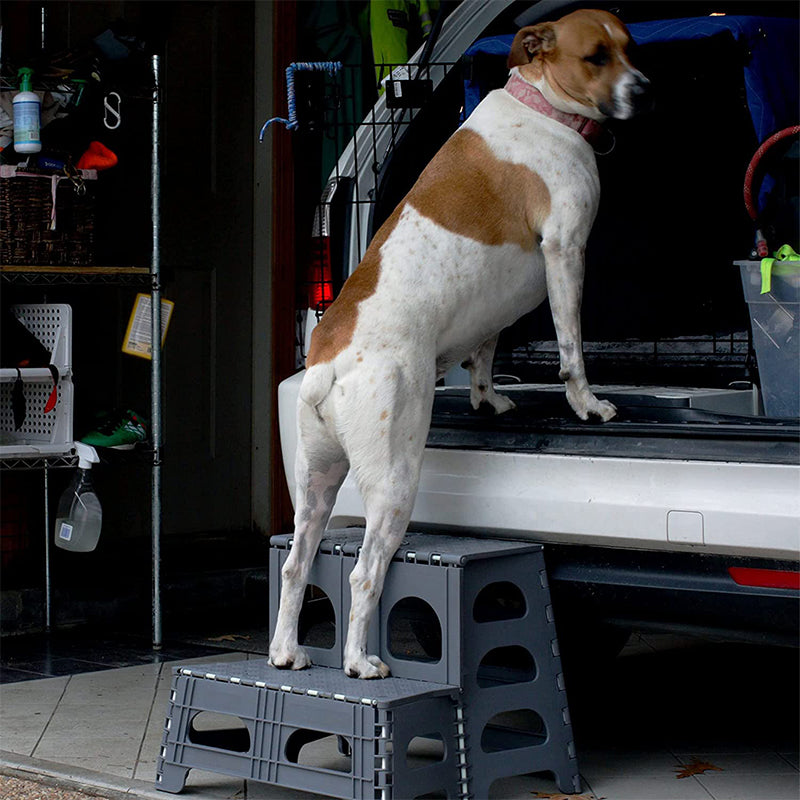 Sturdy Portable Dog Steps
