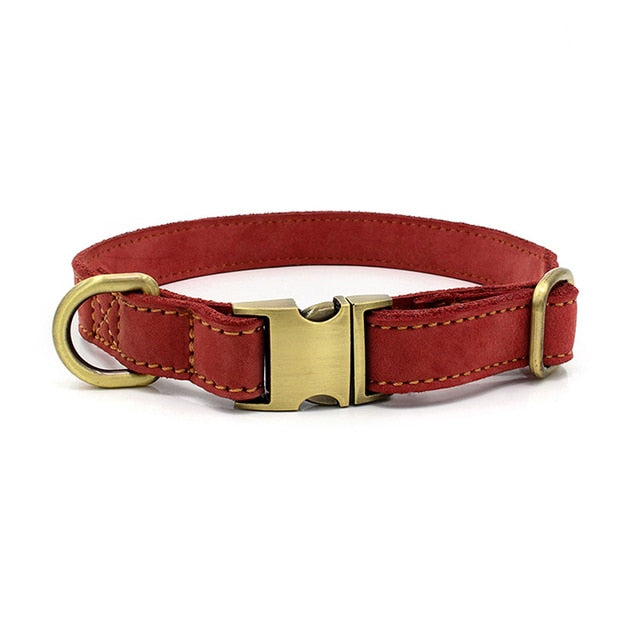 Genuine Leather Martingale Dog Collar