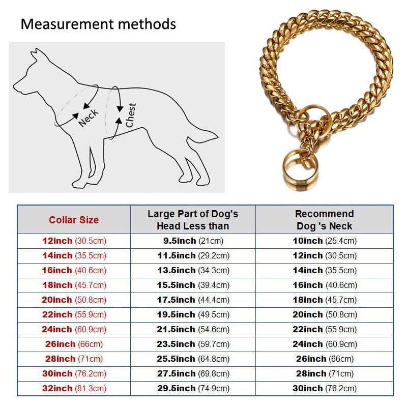 Stainless Steel 18K Gold Metal Dog Collar