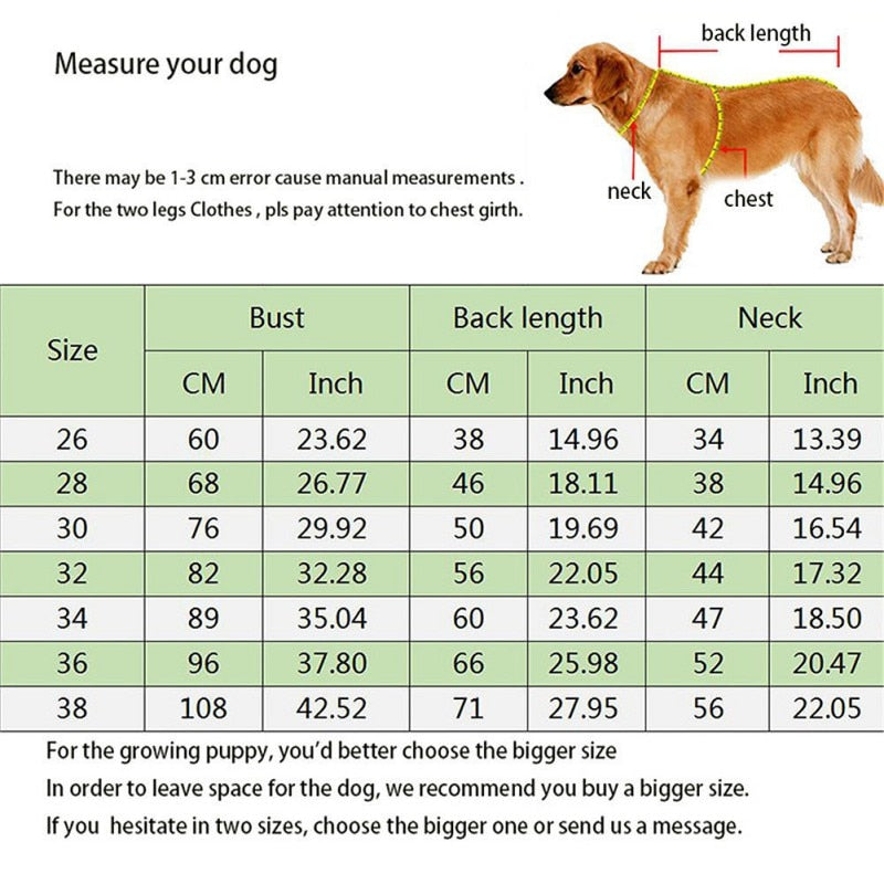 Four Legged Big Dog Jumpsuit