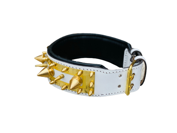 White Gold Bulldog Leather Dog Collar