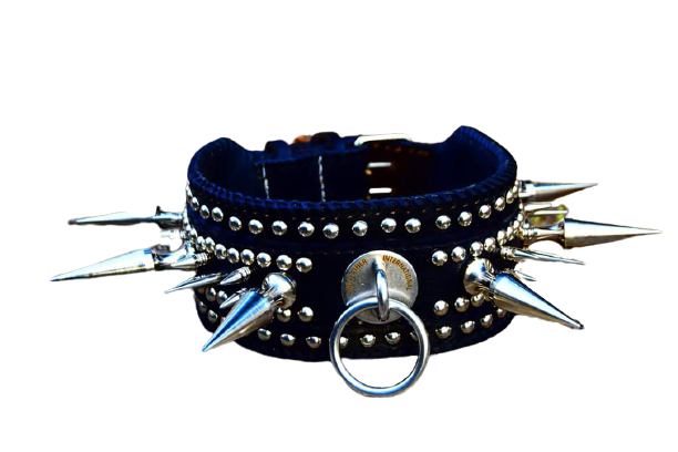 Premium Black Leather Spiked Dog Collar