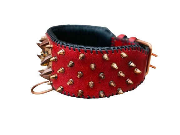 Red Leather Spiked Dog Collar