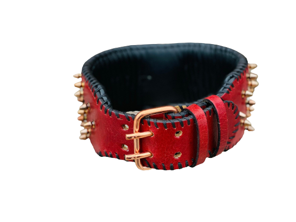 Red Leather Spiked Dog Collar