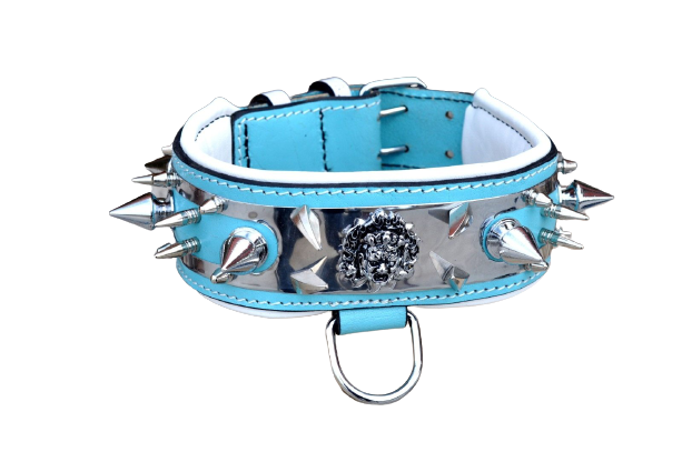 Lake Blue Luxury Leather Dog Collar