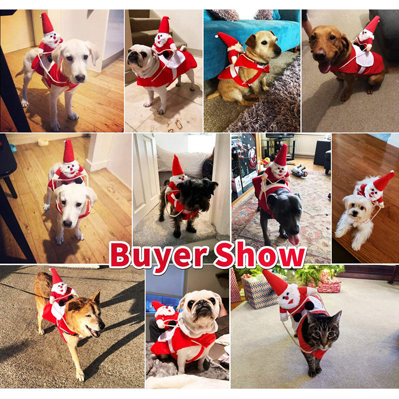 Santa Claus Riding Christmas Dog Costume