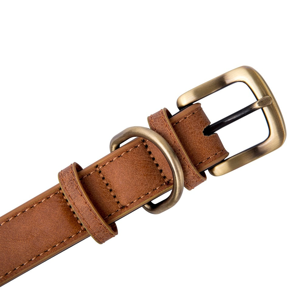 Gold Metal Buckle Leather Dog Collar