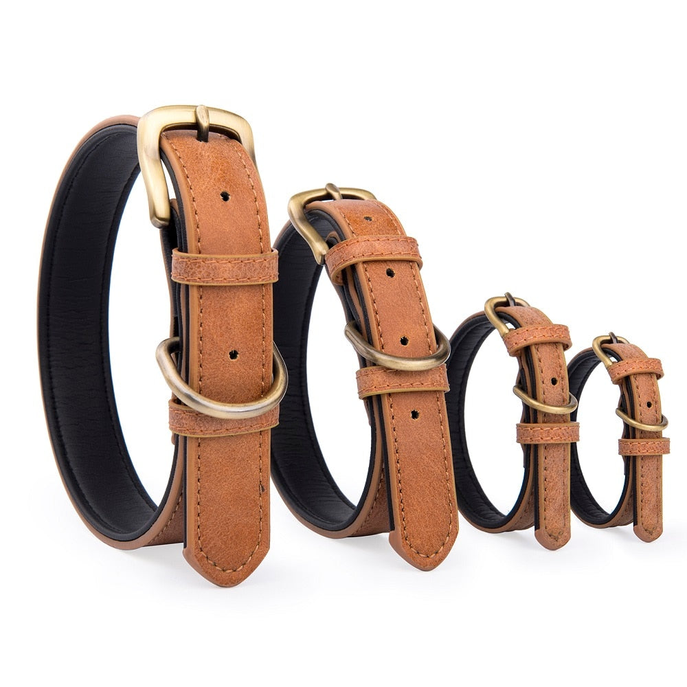 Gold Metal Buckle Leather Dog Collar
