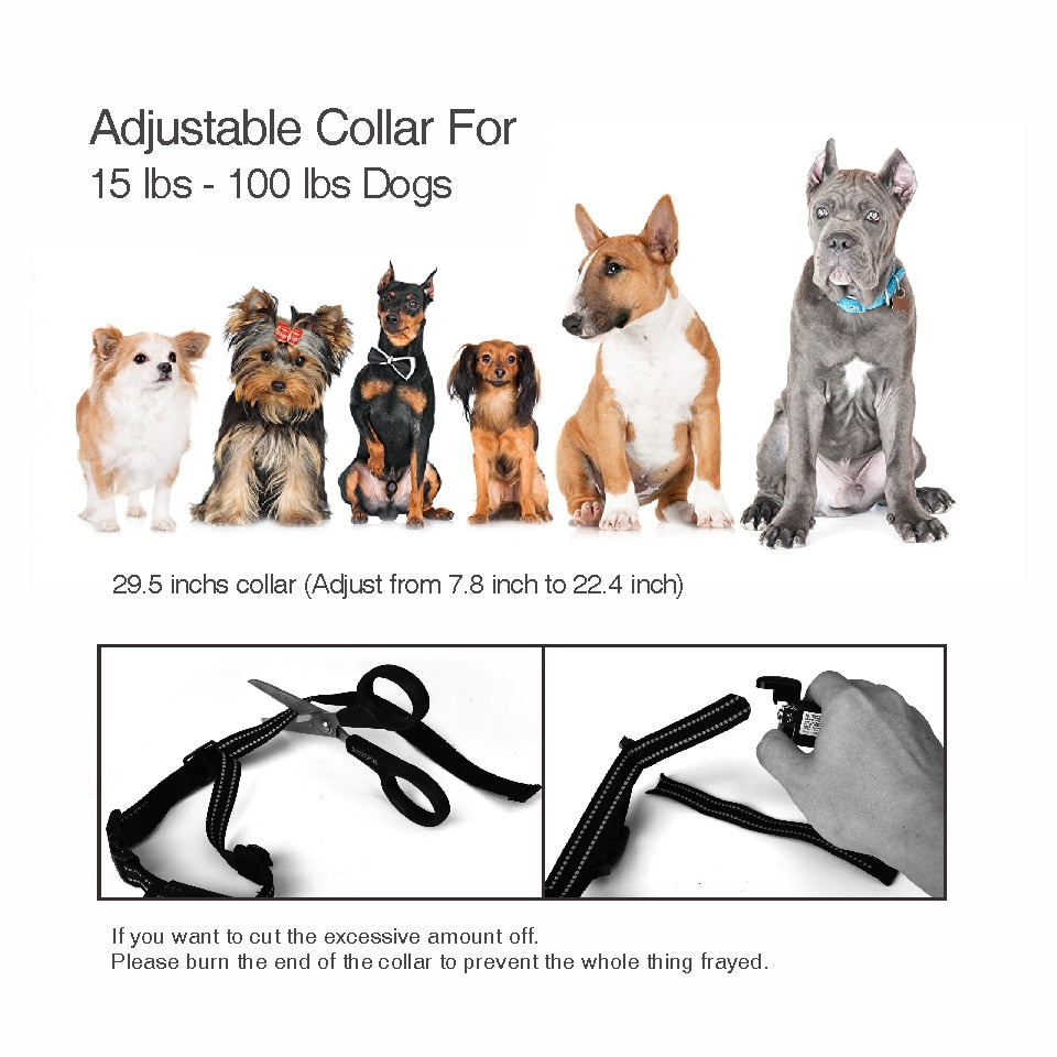800M Hunting Dog Training Collar