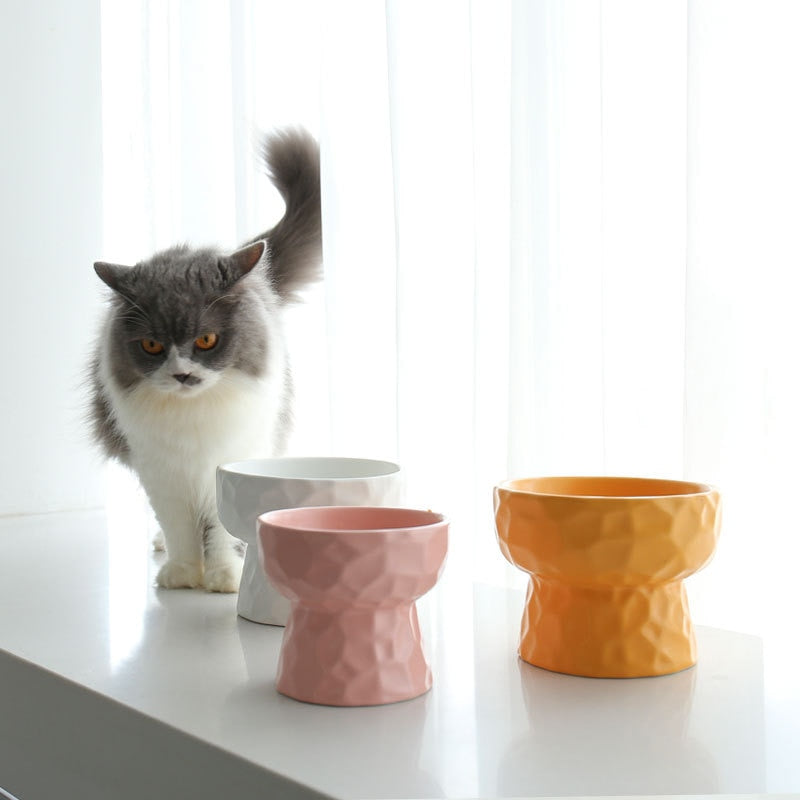 Ceramic Raised Stand Pet Bowl