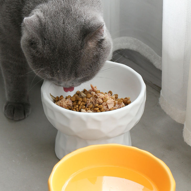Ceramic Raised Stand Pet Bowl