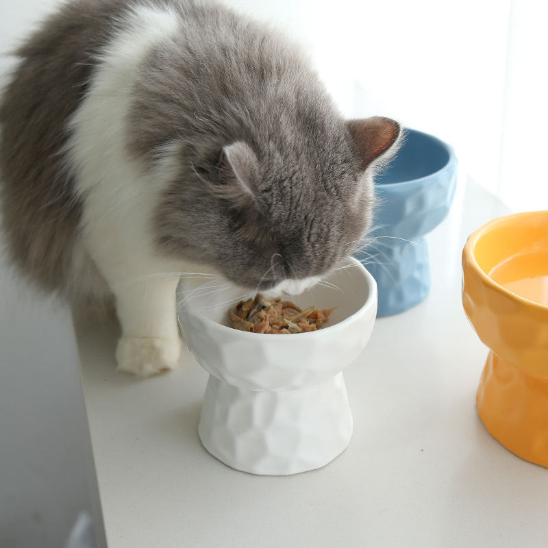Ceramic Raised Stand Pet Bowl