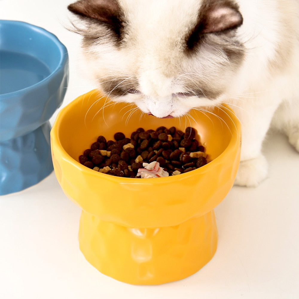 Ceramic Raised Stand Pet Bowl