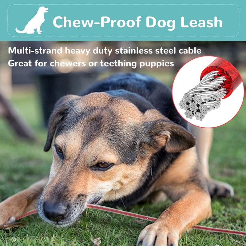 Strong Chew Proof Steel Cable Dog Leash