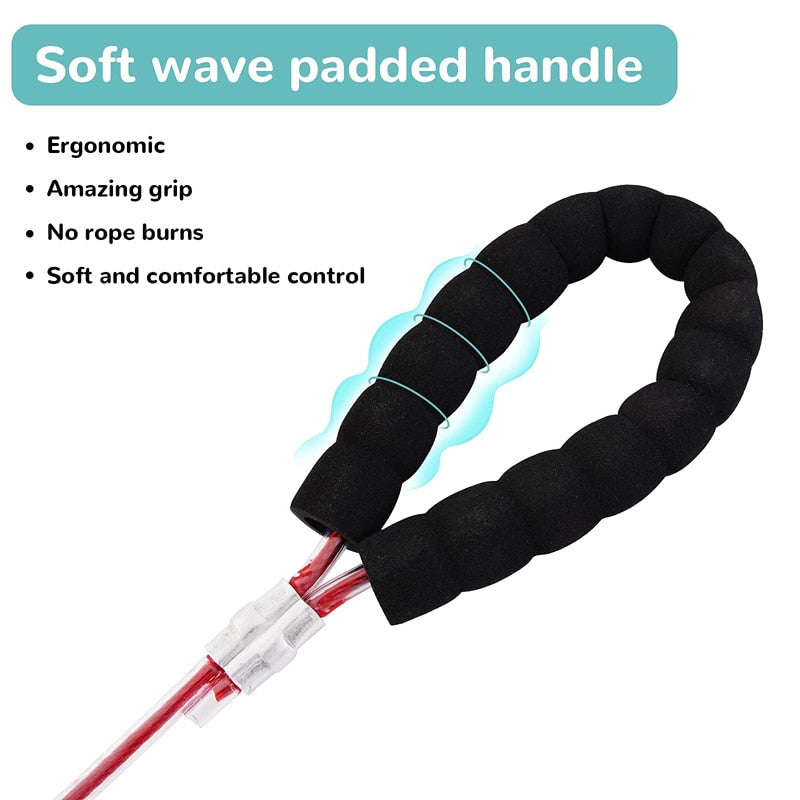Strong Chew Proof Steel Cable Dog Leash