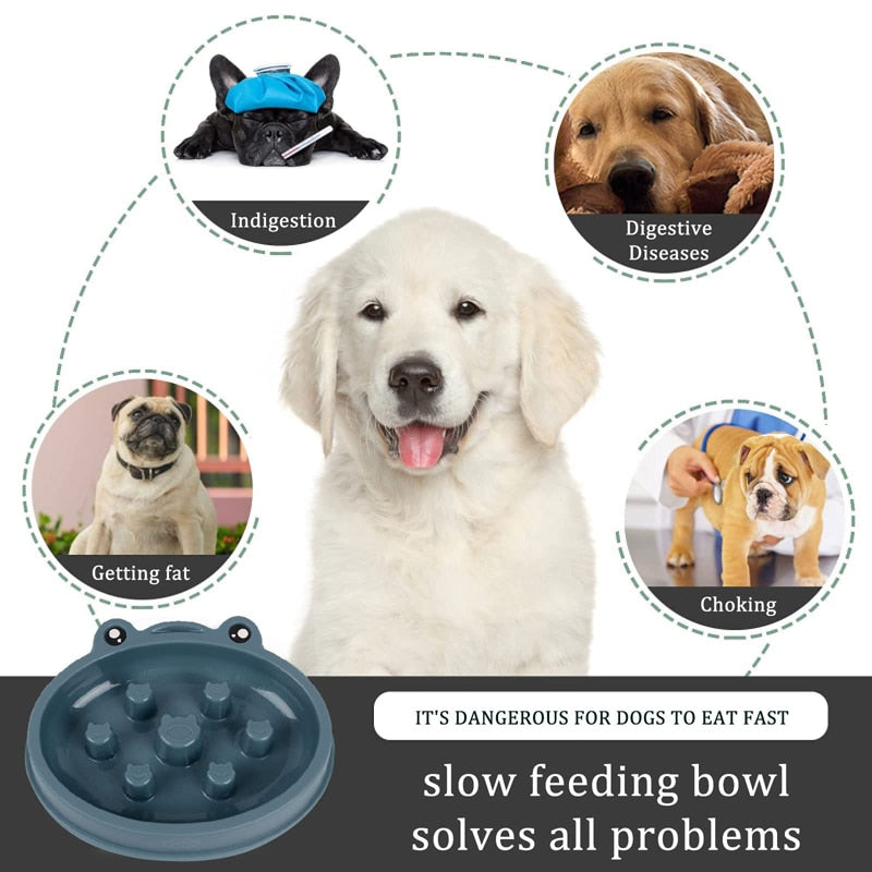 Anti Gulping Dog Slow Feeder Bowl