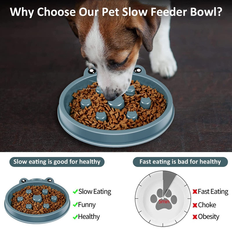 Anti Gulping Dog Slow Feeder Bowl