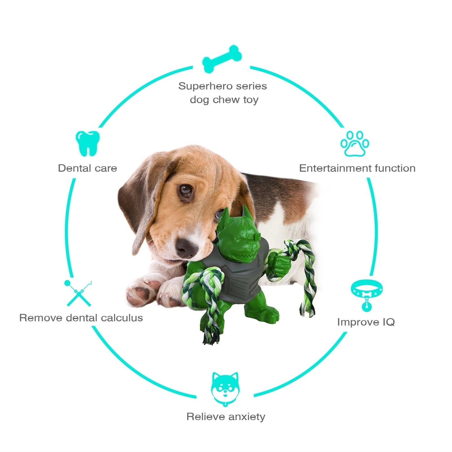 Superstar Series Dog Interactive Chew Toy
