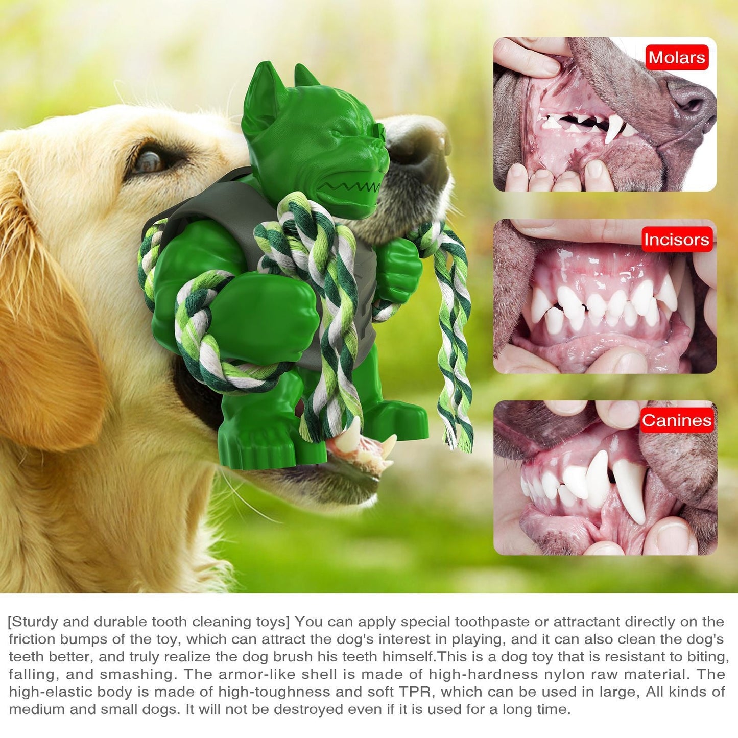 Superstar Series Dog Interactive Chew Toy