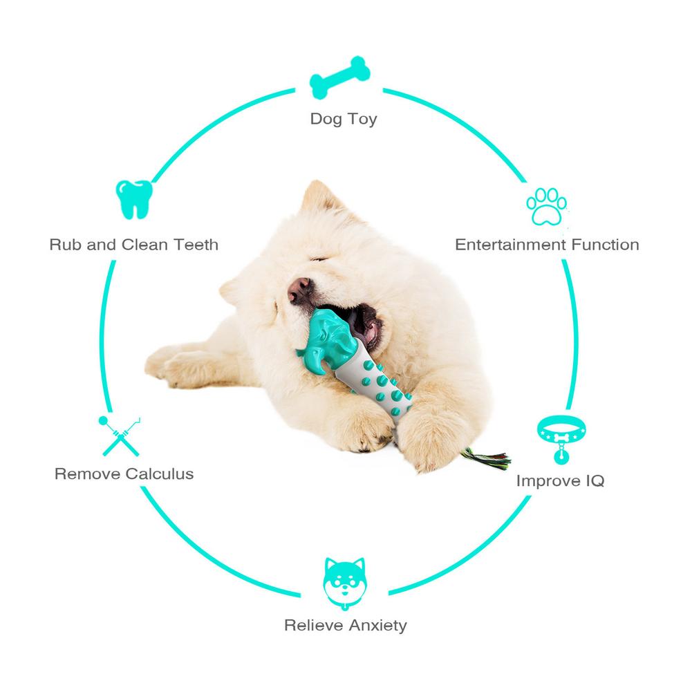 Eagle Dog Toothbrush Molar Toy