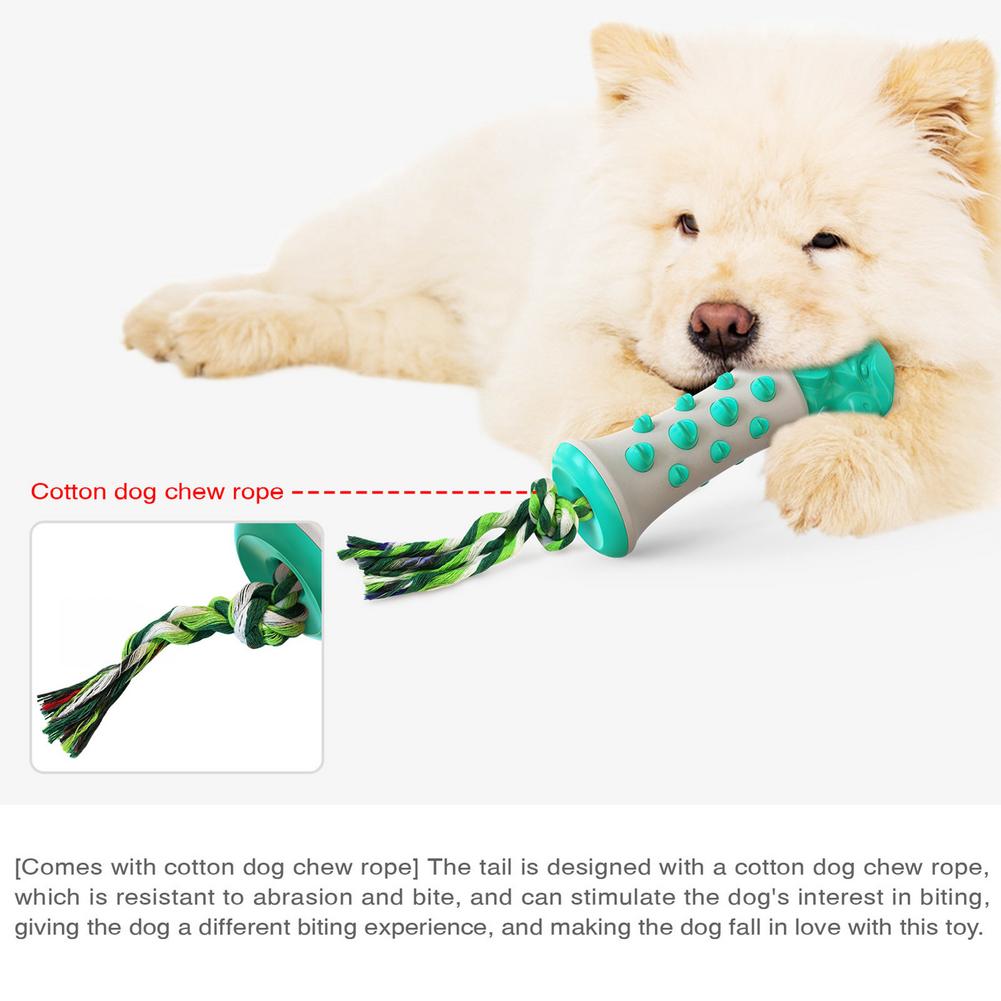 Eagle Dog Toothbrush Molar Toy