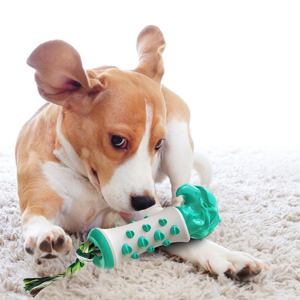 Eagle Dog Toothbrush Molar Toy