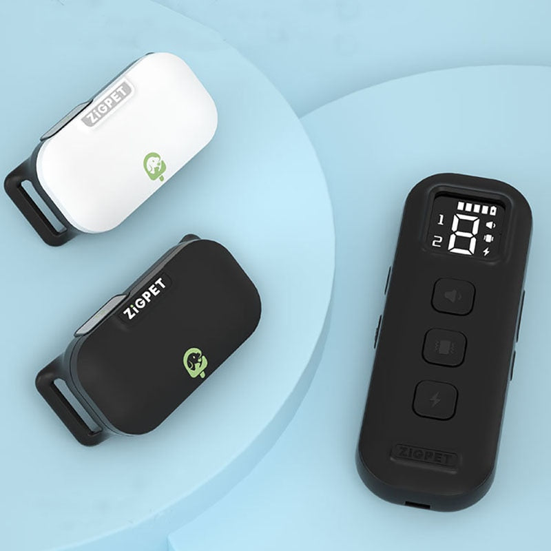 Rechargeable Remote Waterproof Dog Training Collar