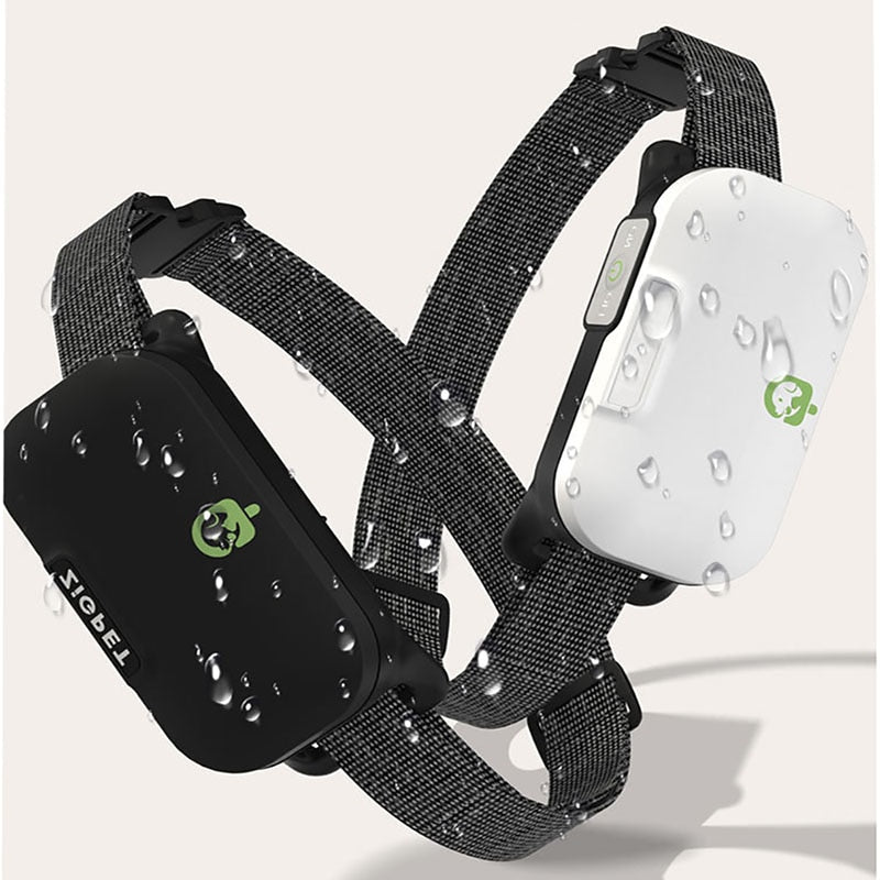 Rechargeable Remote Waterproof Dog Training Collar