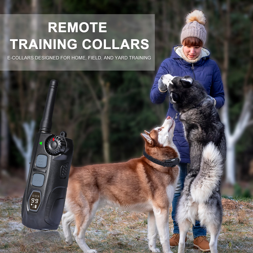 Premium 2000m Dog Hunting Long Range Training Collar