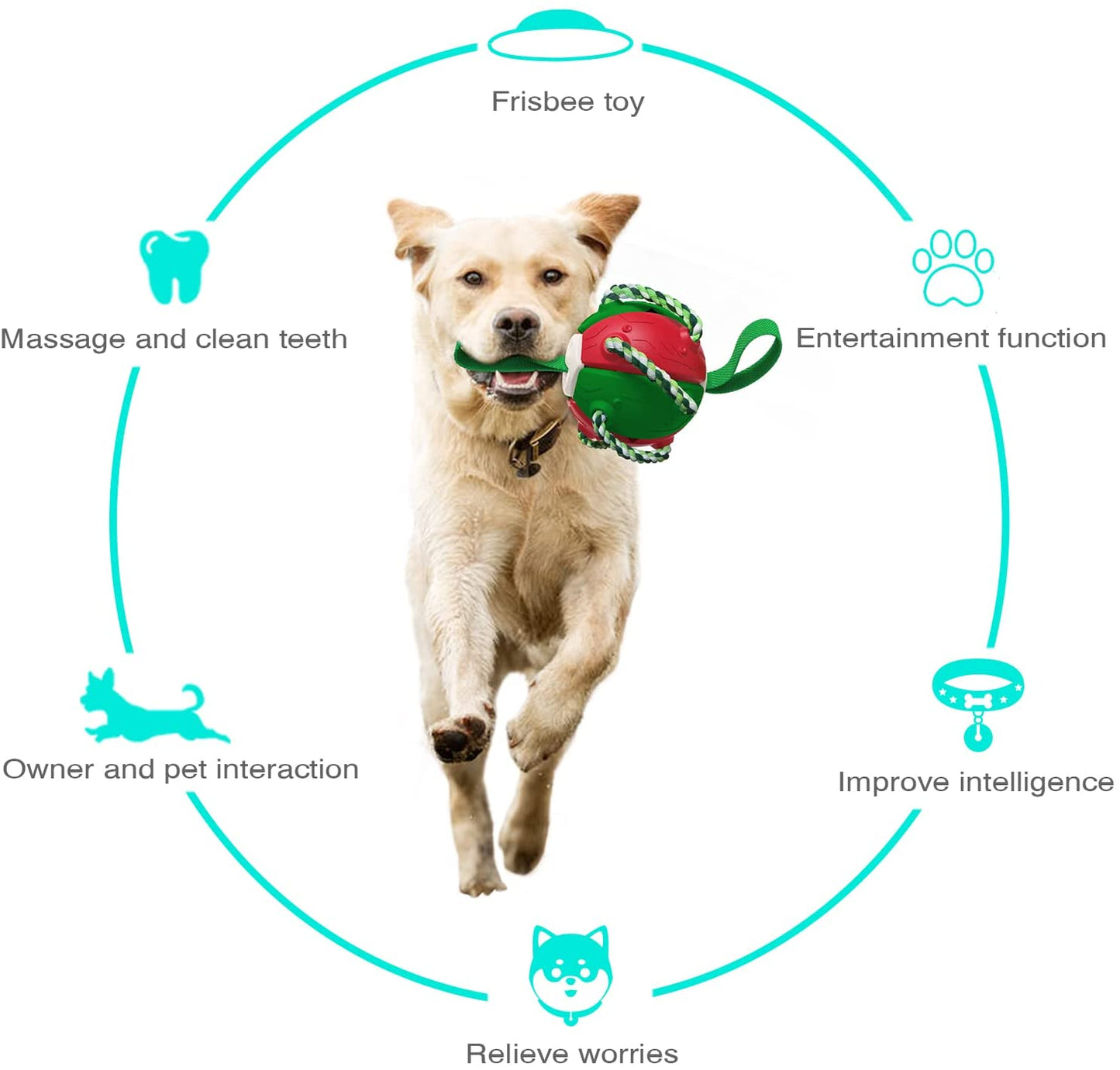 Interactive Frisbee Football Dog Toy