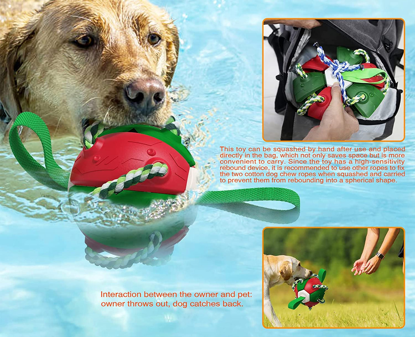Interactive Frisbee Football Dog Toy