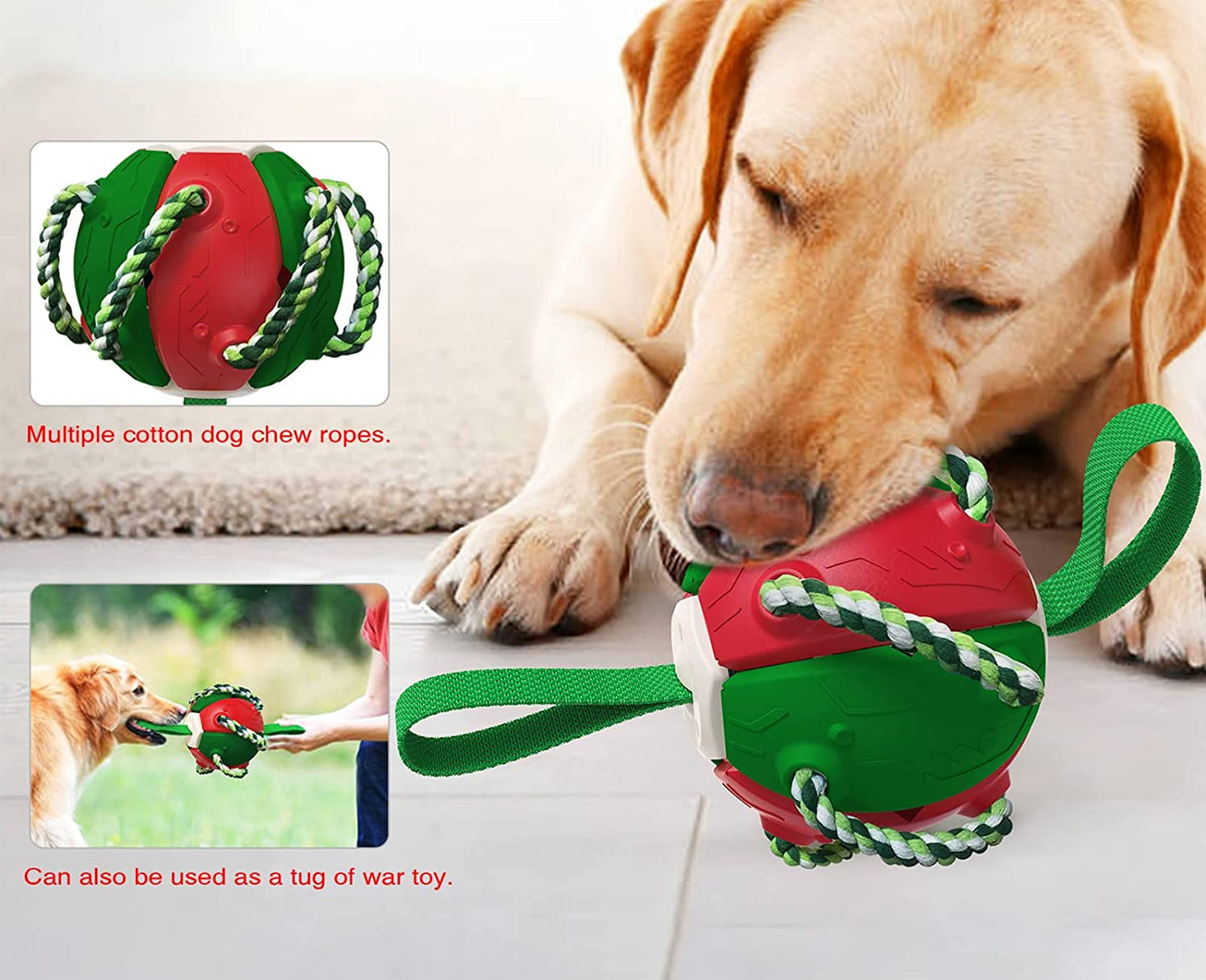 Interactive Frisbee Football Dog Toy