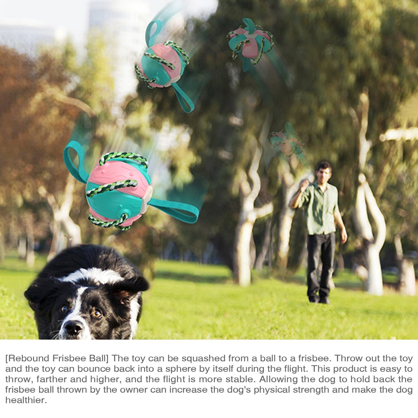 Interactive Frisbee Football Dog Toy