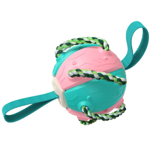 Interactive Frisbee Football Dog Toy