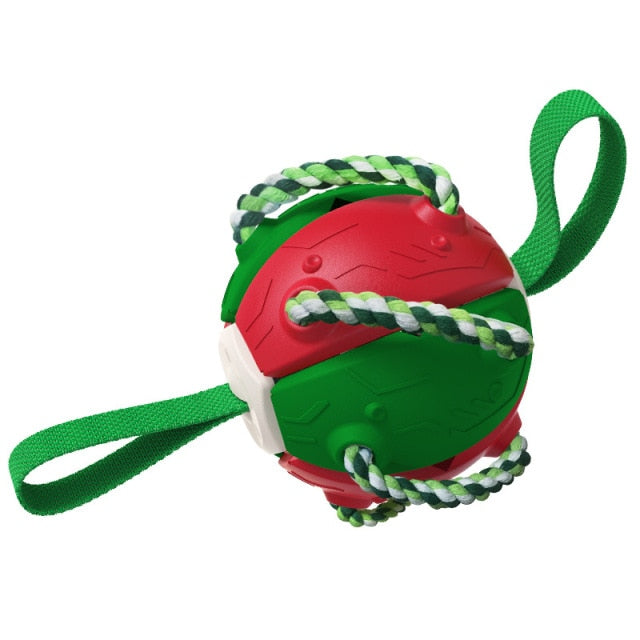 Interactive Frisbee Football Dog Toy