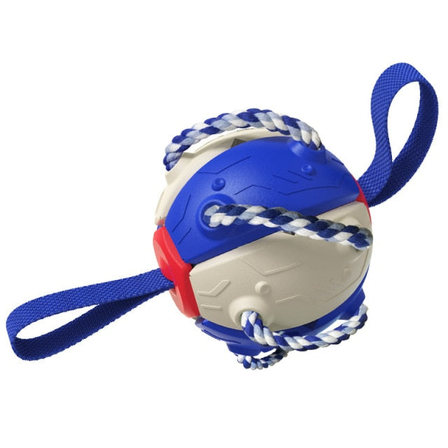 Interactive Frisbee Football Dog Toy