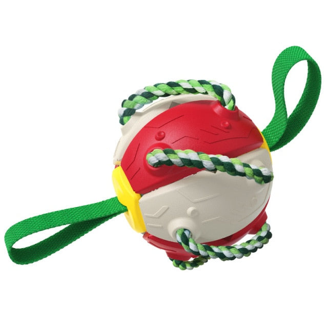 Interactive Frisbee Football Dog Toy