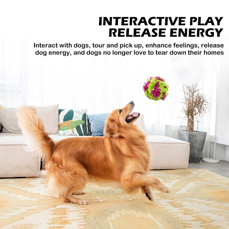 Interactive Dog Chewing Fun Toys