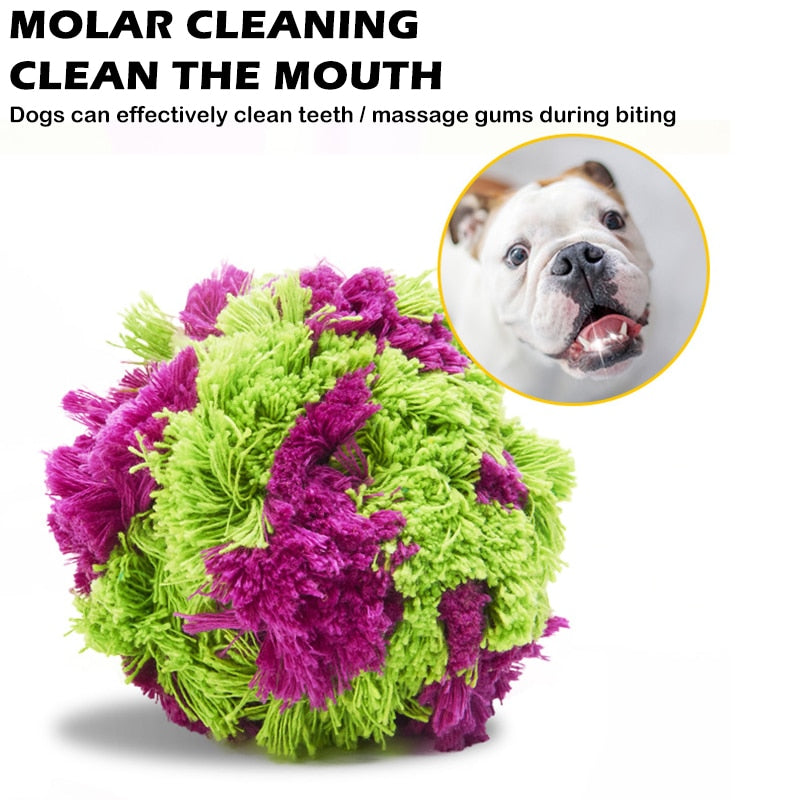 Interactive Dog Chewing Fun Toys