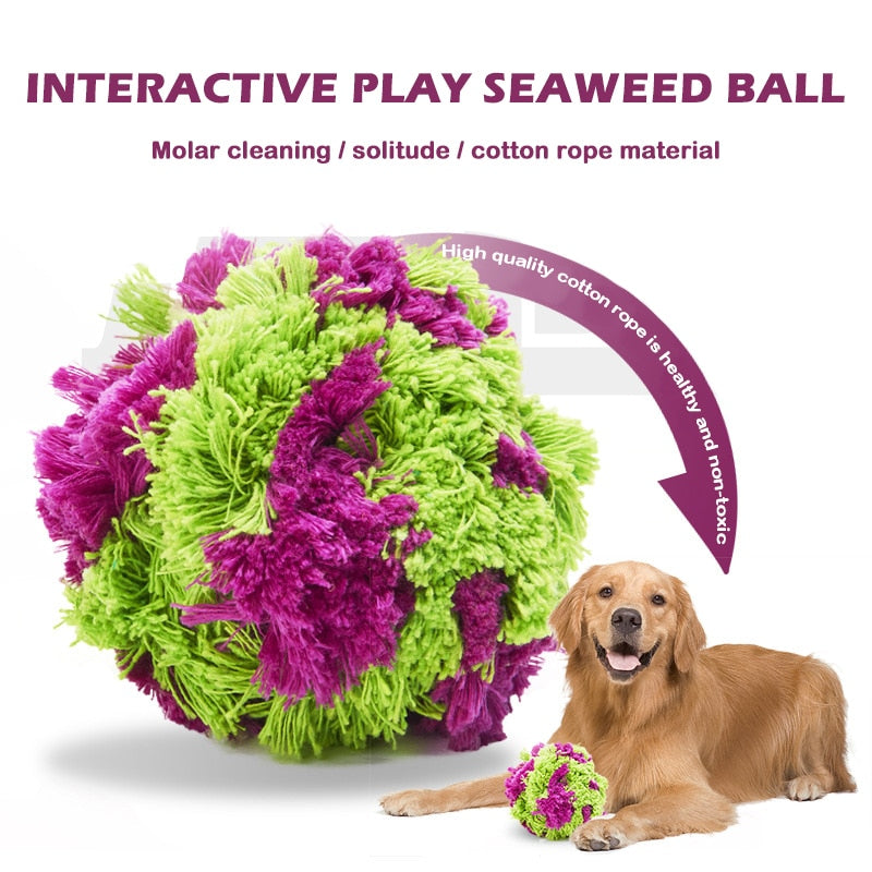 Interactive Dog Chewing Fun Toys