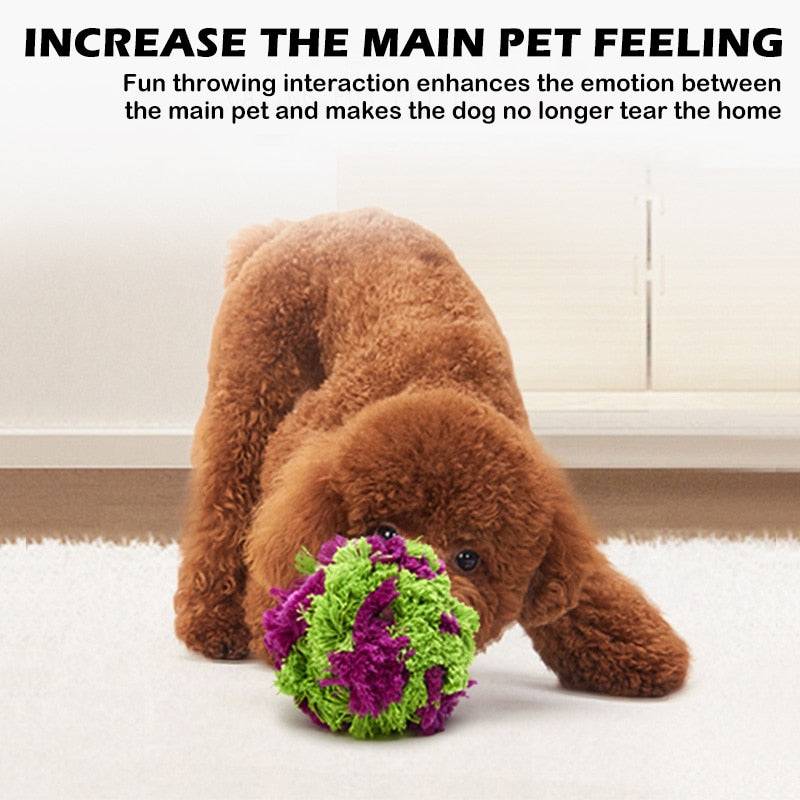 Interactive Dog Chewing Fun Toys