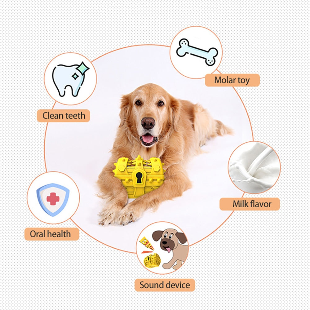 Squeaky Treasure Box Molar Dog Toys