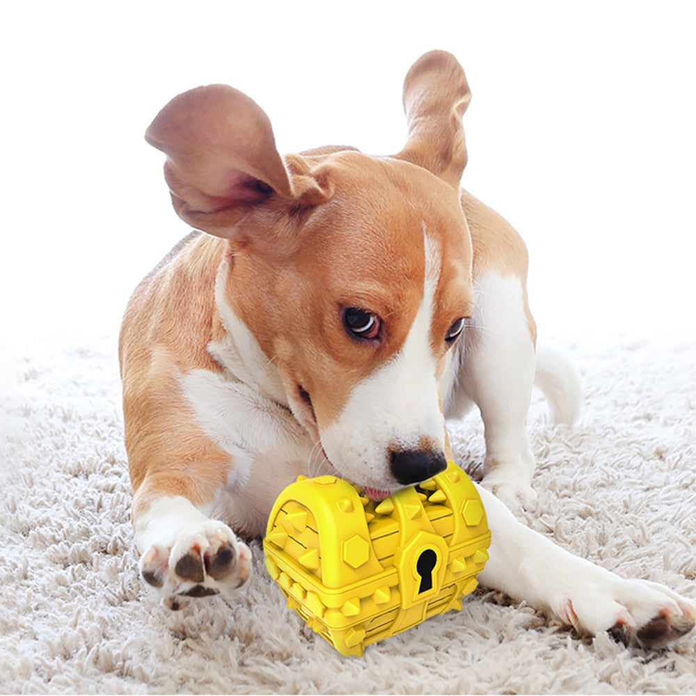 Squeaky Treasure Box Molar Dog Toys