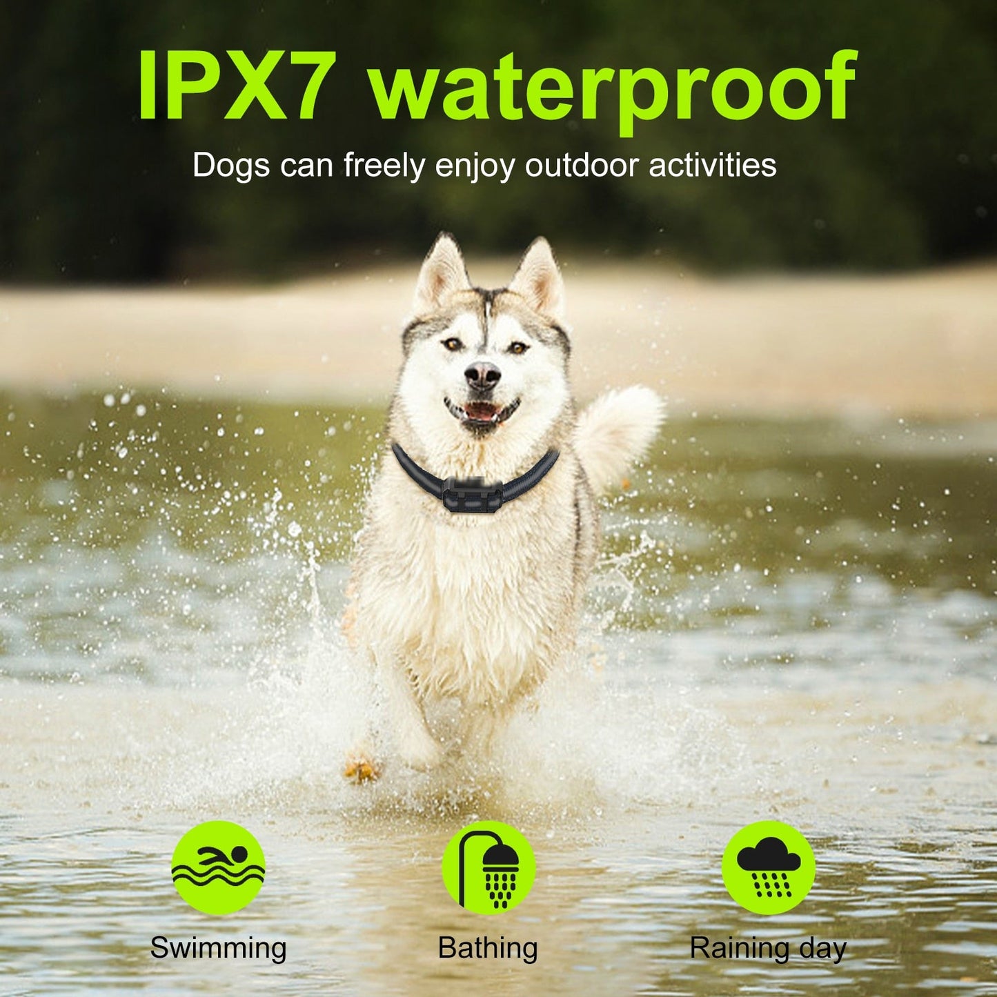 Premium 800M Rechargeable Dog Training Collar