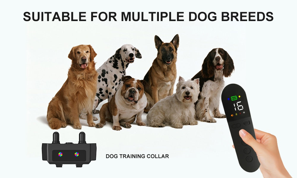Premium 800M Rechargeable Dog Training Collar