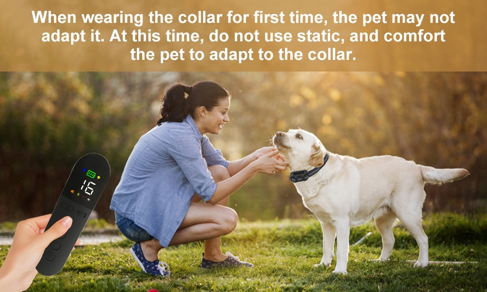 Premium 800M Rechargeable Dog Training Collar