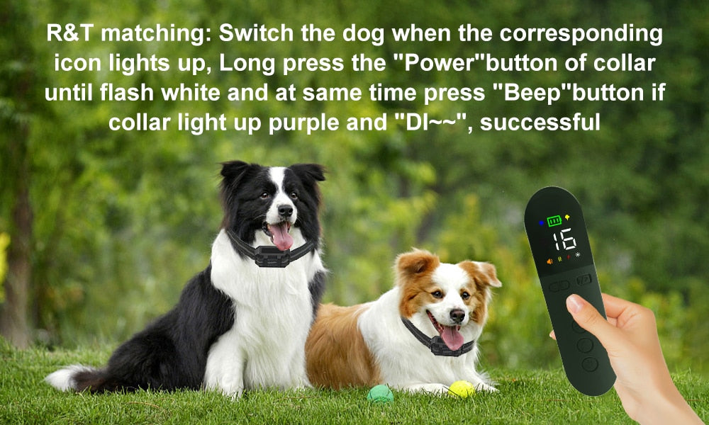 Premium 800M Rechargeable Dog Training Collar