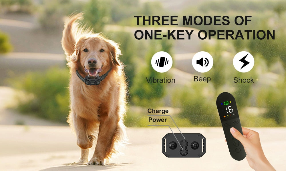 Premium 800M Rechargeable Dog Training Collar